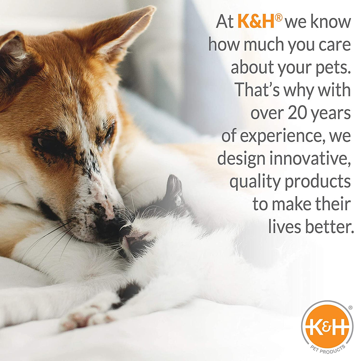 K&H Outdoor Elevated Dog Bed for Large & X-Large Pets, Green, XL 50X32In