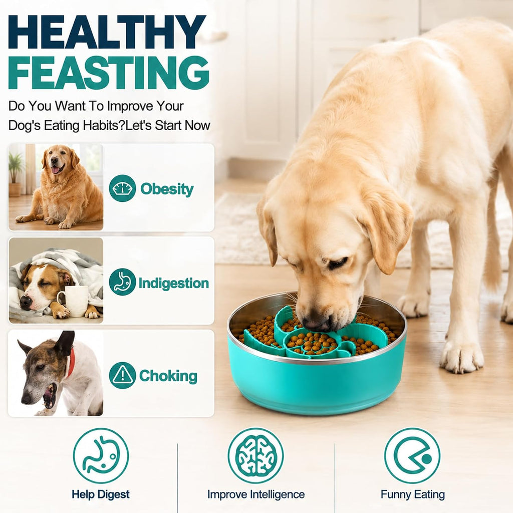 6-In-1Stainless Steel Slow Feeder Dog Bowls, Feeder Dog Bowls Large Breed
