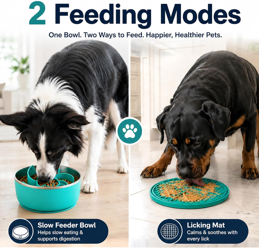 6-In-1Stainless Steel Slow Feeder Dog Bowls, Feeder Dog Bowls Large Breed