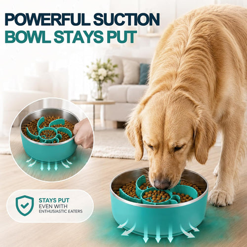 6-In-1Stainless Steel Slow Feeder Dog Bowls, Feeder Dog Bowls Large Breed