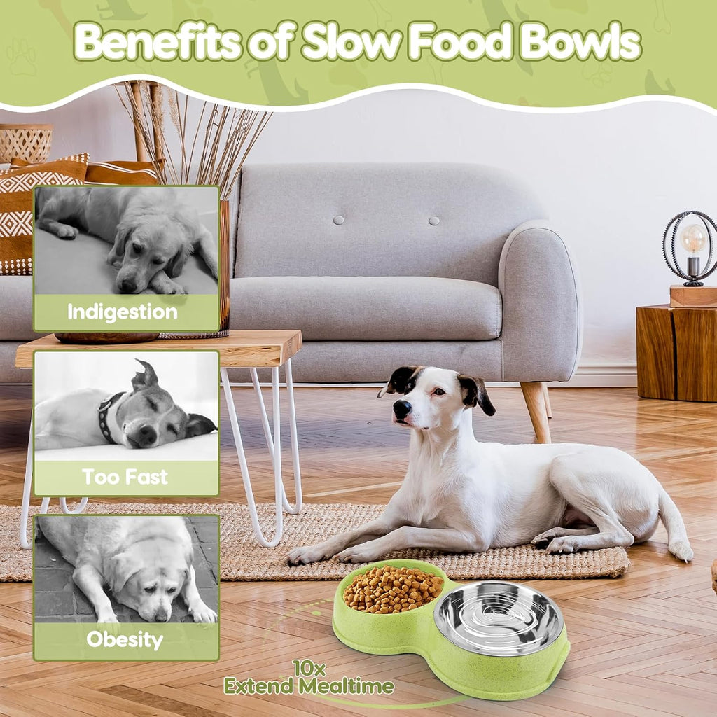 Pets Double Slow Feeder Bowls, Cats & Dogs Food Water Bowls, Stainless Steel Puppy Food and Water Dishes Non-Skid, Pet Feeding Bowl for Small Dogs Puppy Cat (Green)