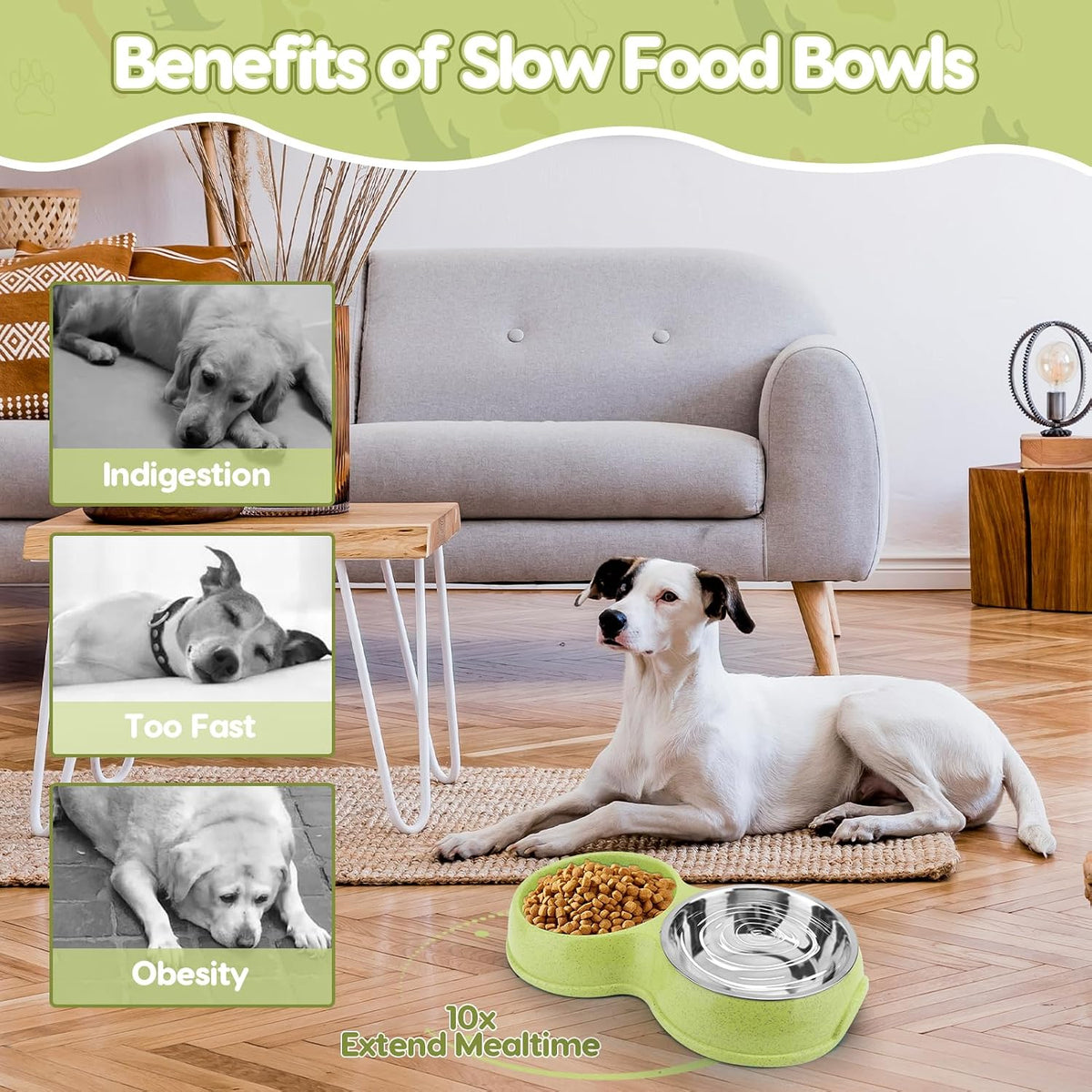 Pets Double Slow Feeder Bowls, Cats & Dogs Food Water Bowls, Stainless Steel Puppy Food and Water Dishes Non-Skid, Pet Feeding Bowl for Small Dogs Puppy Cat (Green)