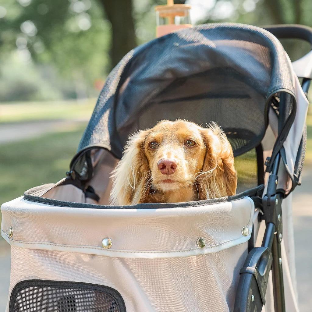 Stroller, Includes 360 Degree Front Wheel Swivel, Rear Wheel Breaks, Reflective Trim, Mesh Panels, Umbrella and Mesh Canopy, Khaki