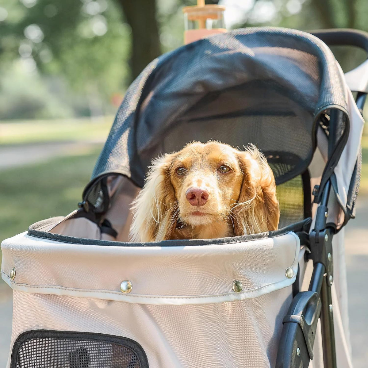 Stroller, Includes 360 Degree Front Wheel Swivel, Rear Wheel Breaks, Reflective Trim, Mesh Panels, Umbrella and Mesh Canopy, Khaki
