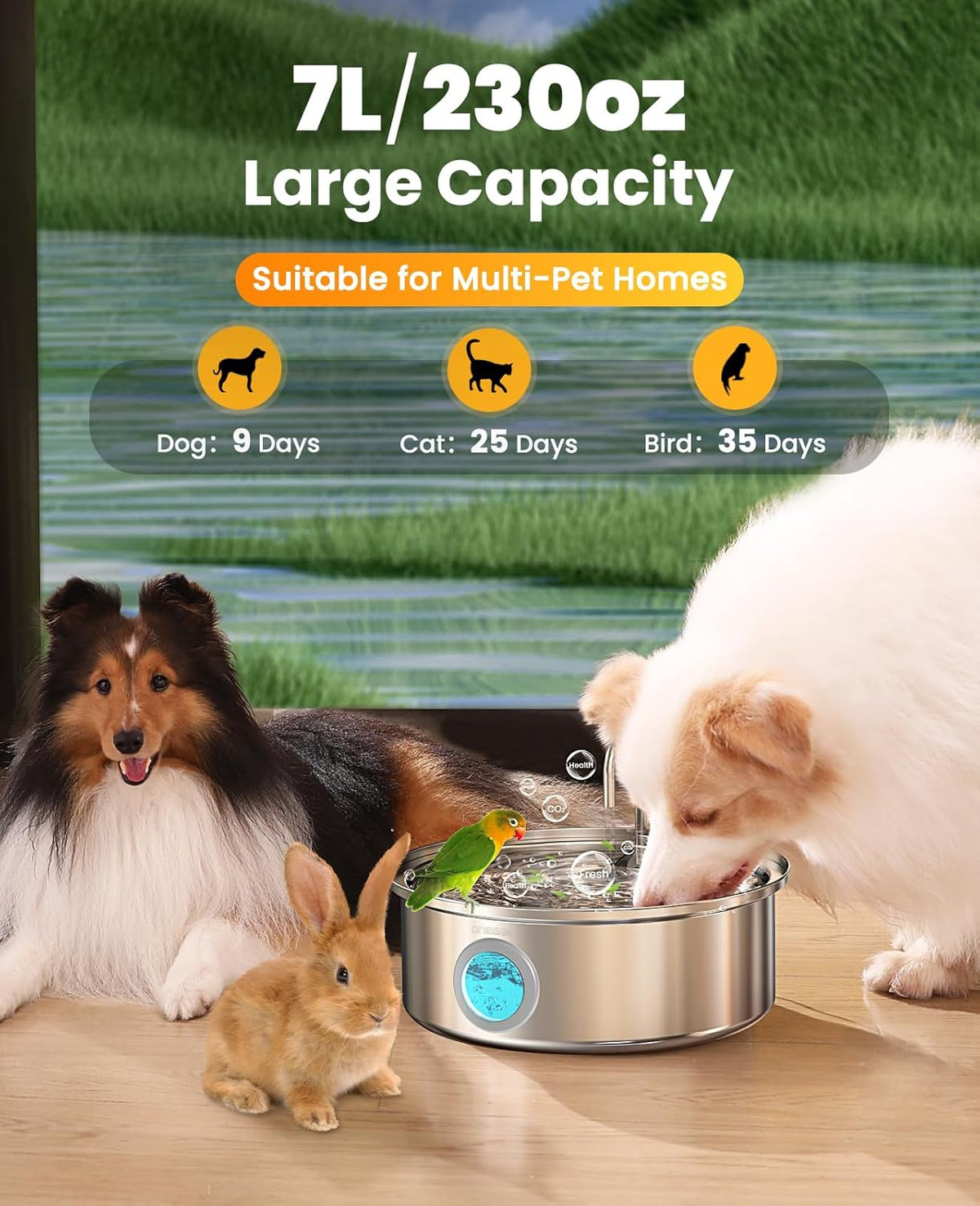 7L/230Oz Pet Water Fountain