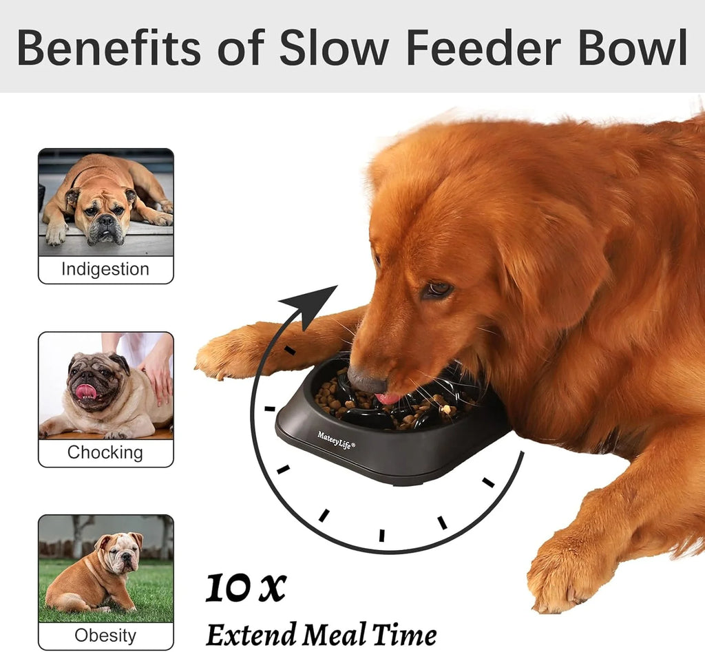 Slow Feeder Dog Bowls 2PCS, Non Slip Cat Food Bowls, Bloat Stop Maze Dishes, Interactive Feeder for All Breeds 2 Cup Gray&Black